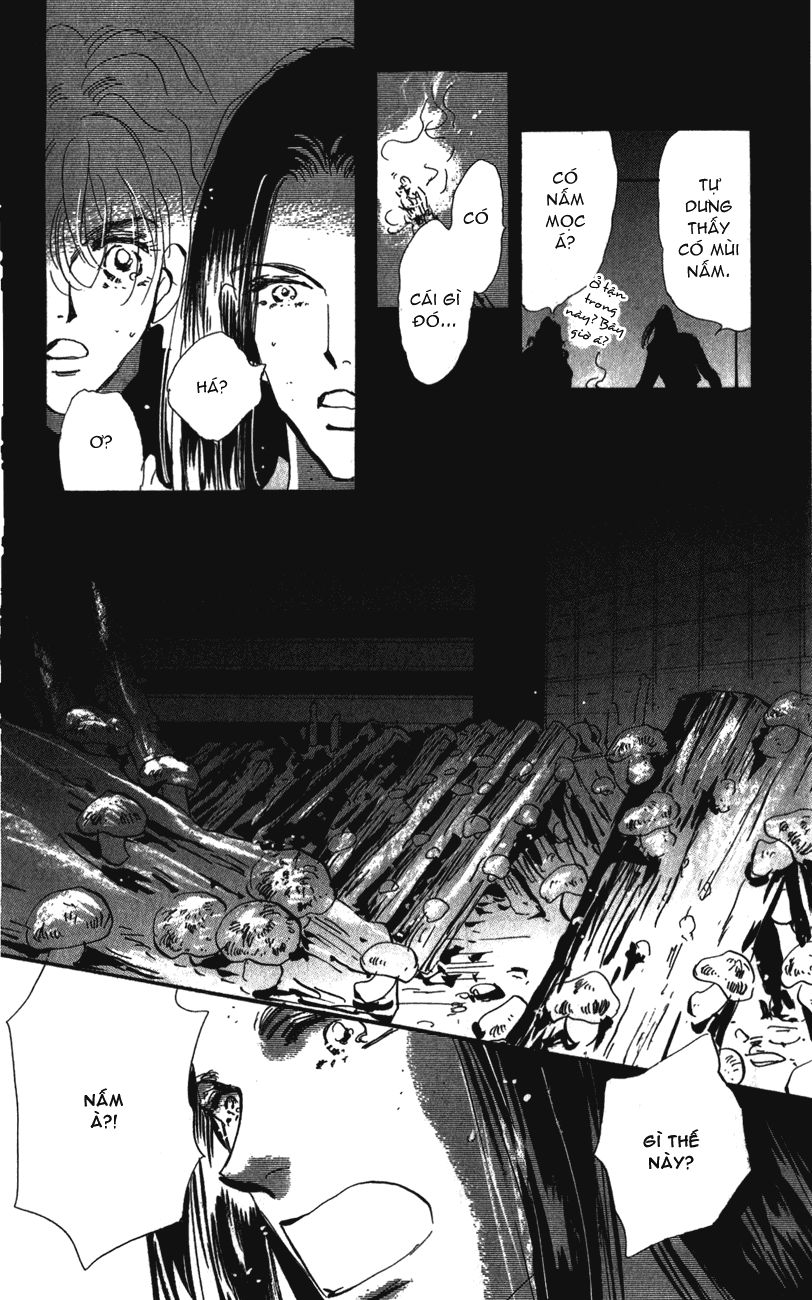 Mầm Sống Chap 114 - Next Chap 115
