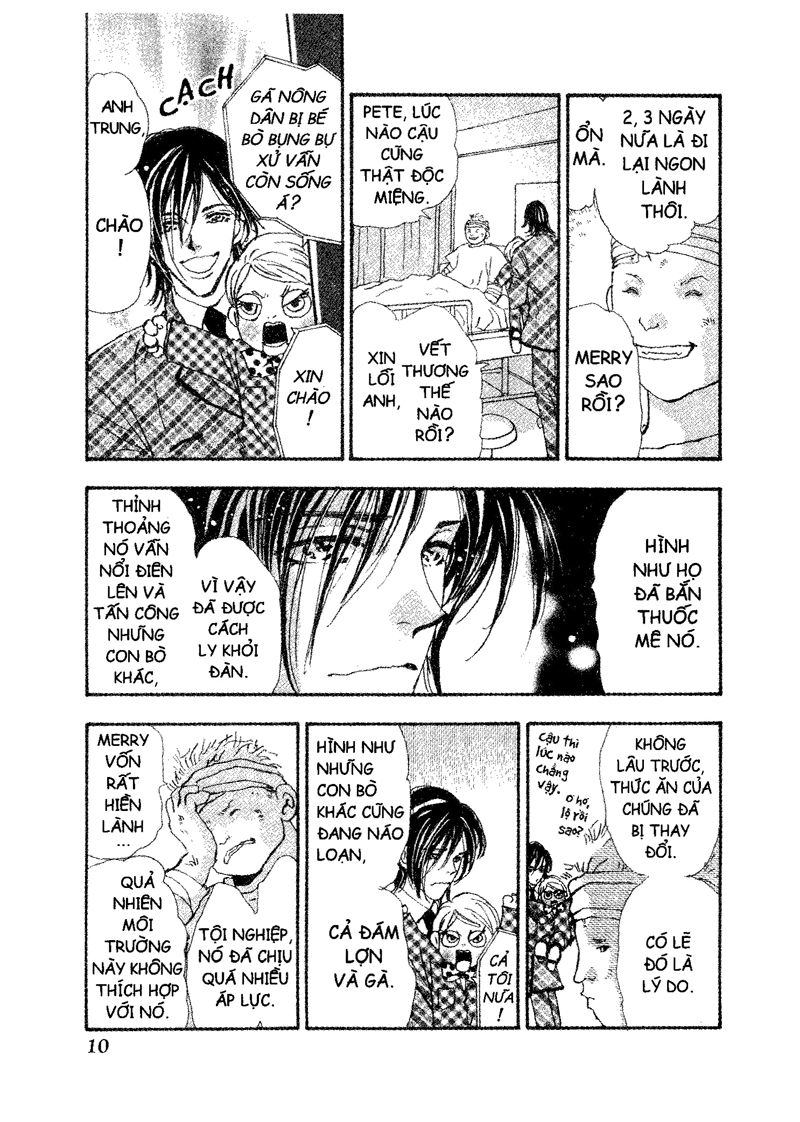 Mầm Sống Chap 57 - Next Chap 58