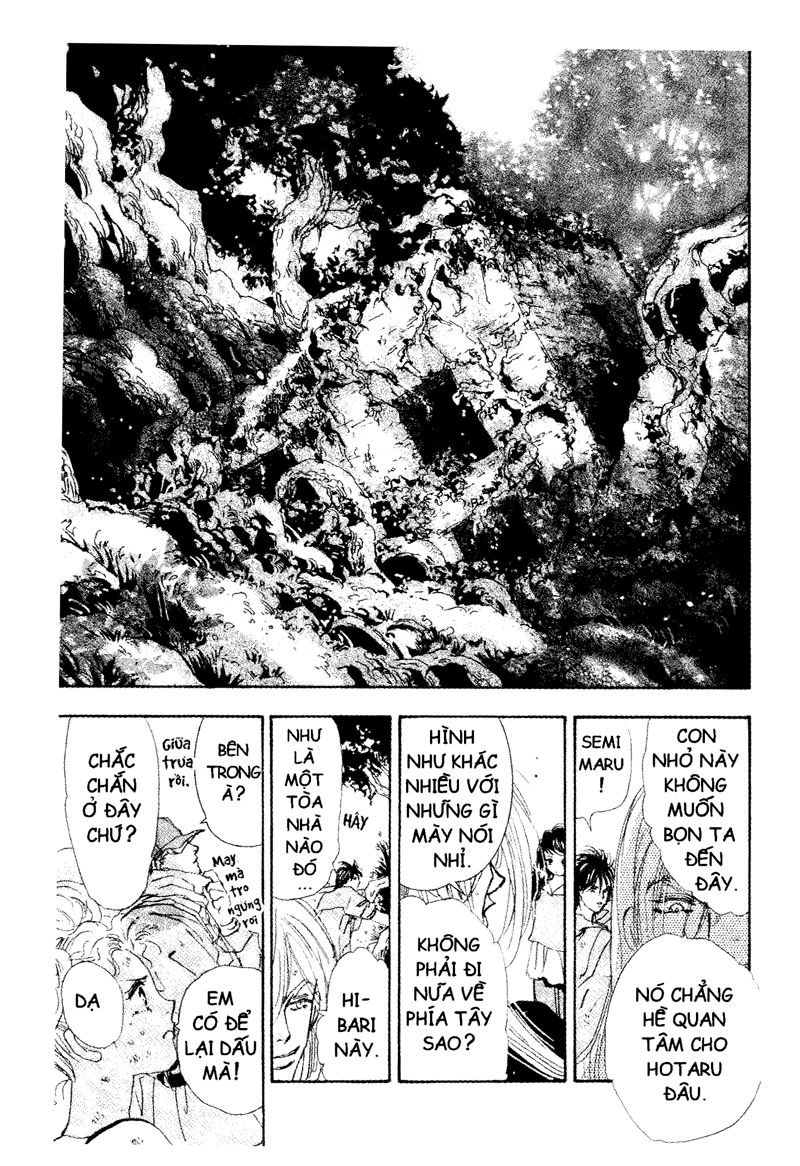 Mầm Sống Chap 66 - Next Chap 67