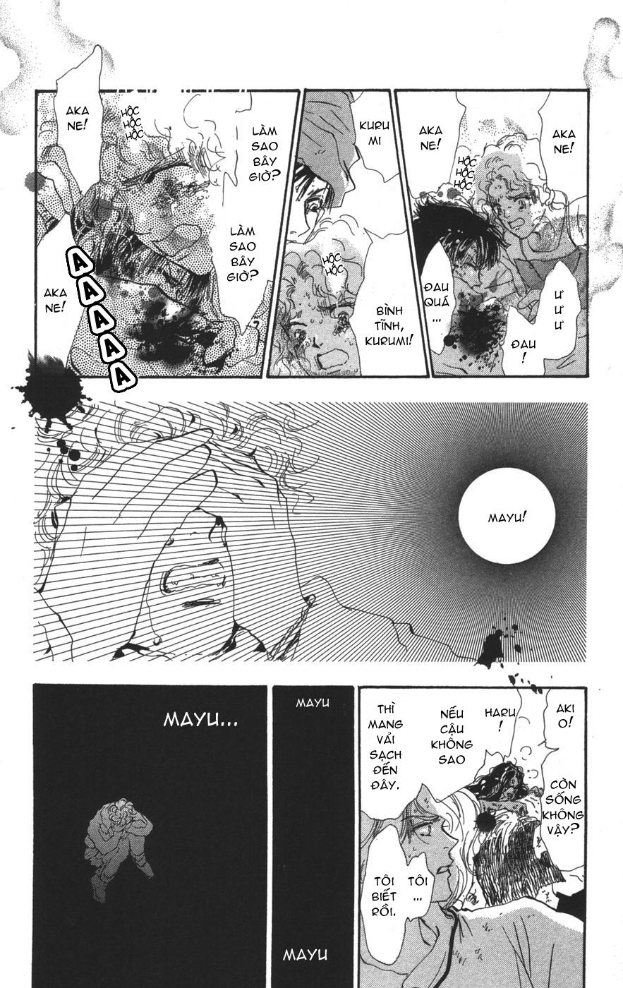Mầm Sống Chap 71 - Next Chap 72