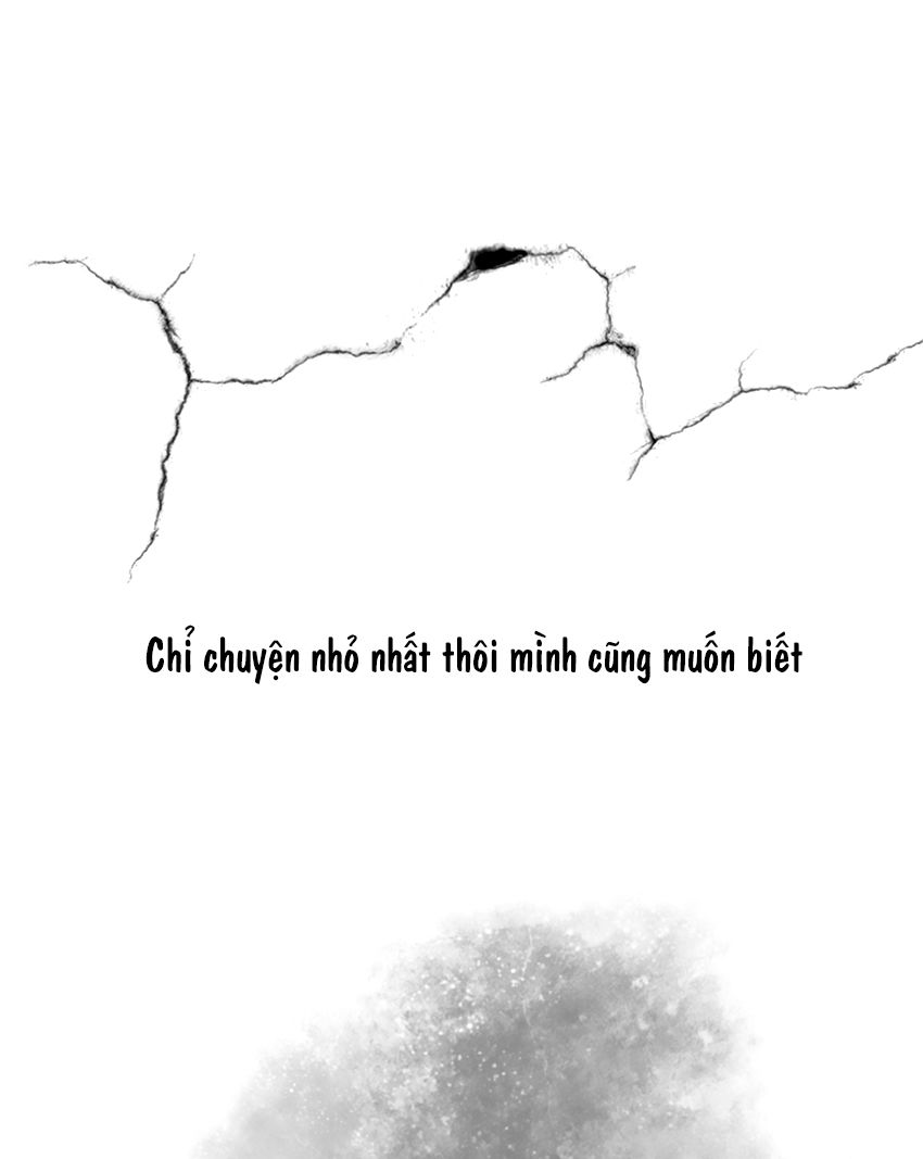 Thú Cưng Của Tôi Là Dơi Chap 18 - Next Chap 19