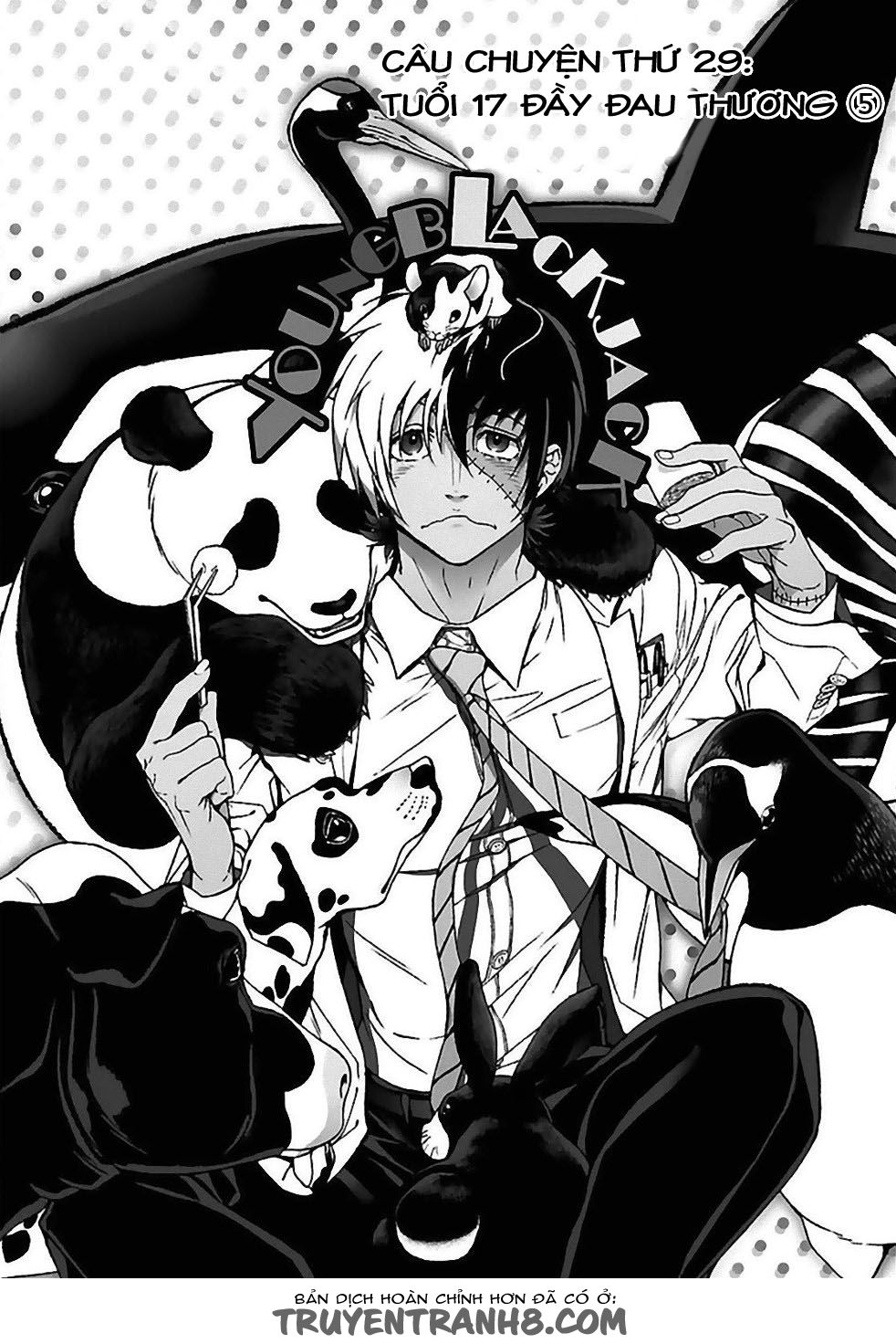 Thời Niên Thiếu Của Black Jack Chap 29 - Next Chap 30