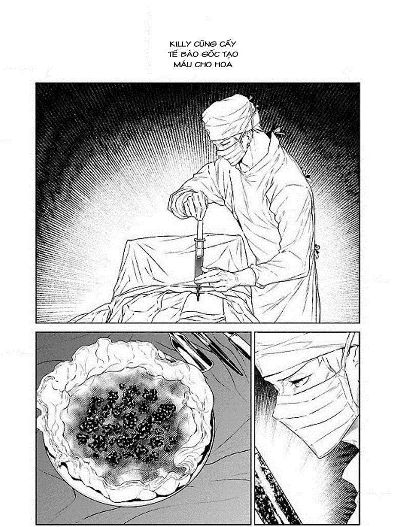 Thời Niên Thiếu Của Black Jack Chap 52 - Next Chap 53