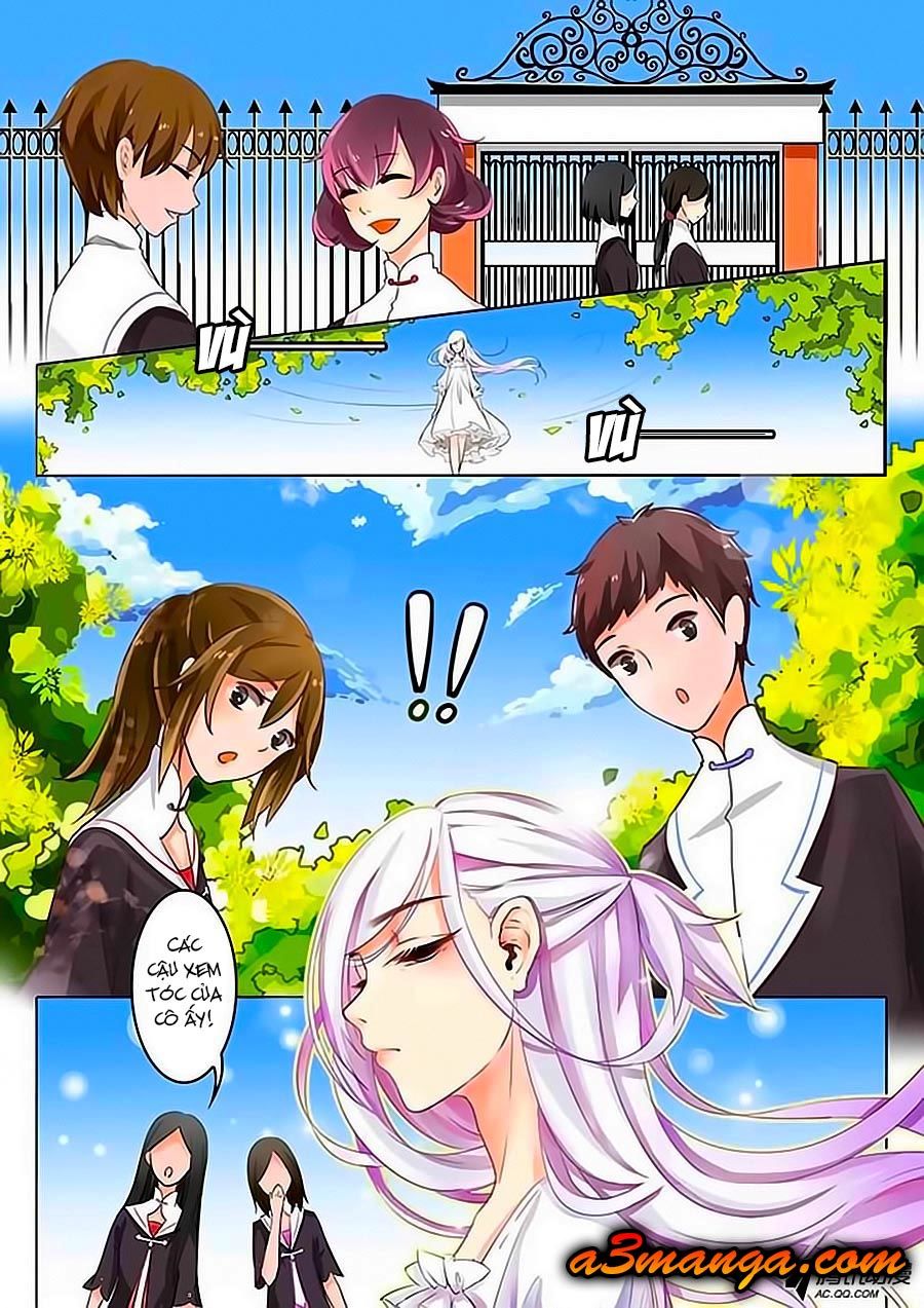Chước Chước Lưu Ly Hạ Chap 1 - Next Chap 2