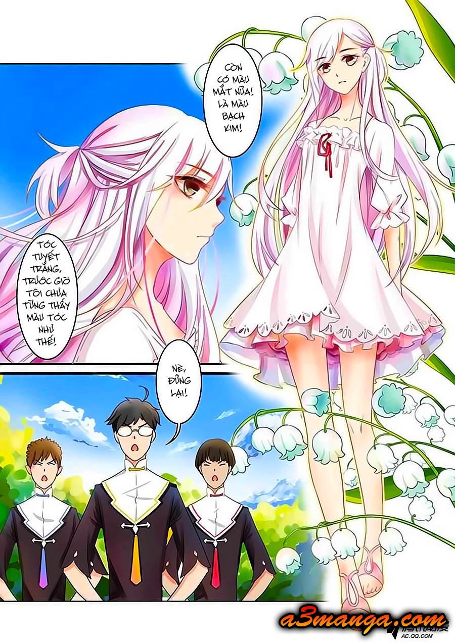 Chước Chước Lưu Ly Hạ Chap 1 - Next Chap 2