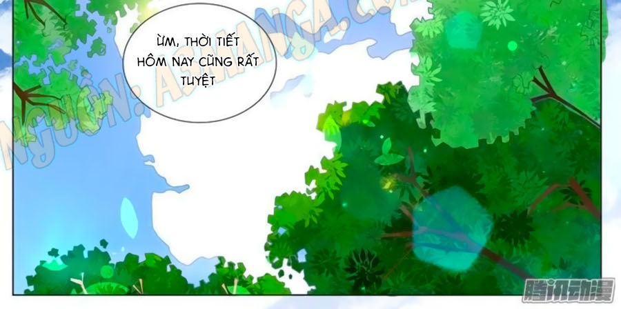 Chước Chước Lưu Ly Hạ Chap 101 - Next Chap 102