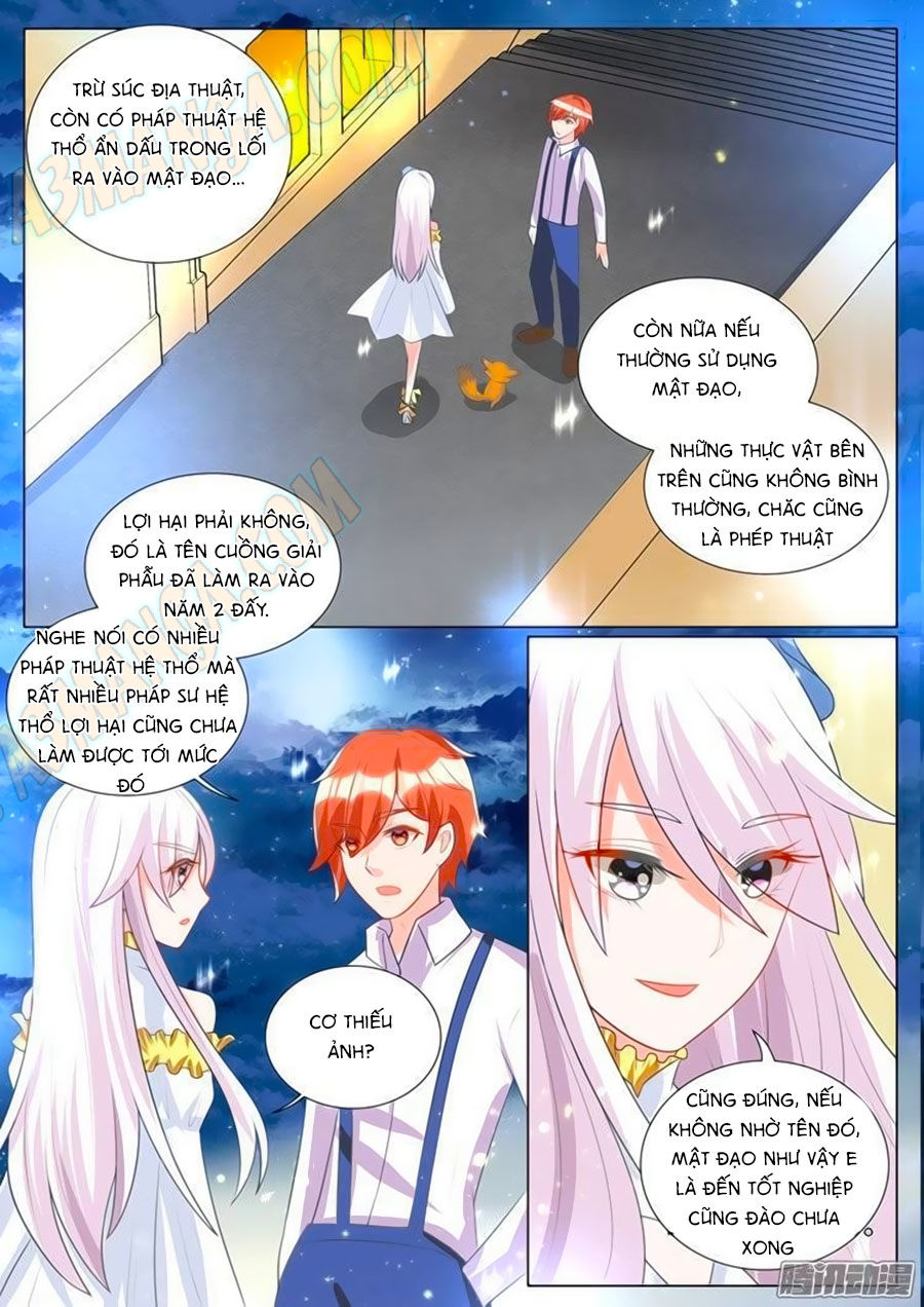Chước Chước Lưu Ly Hạ Chap 105 - Next Chap 106
