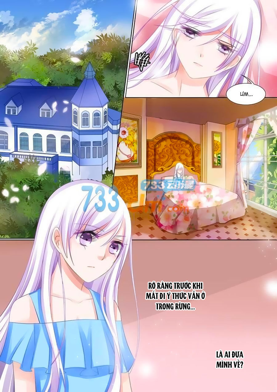 Chước Chước Lưu Ly Hạ Chap 57 - Next Chap 58