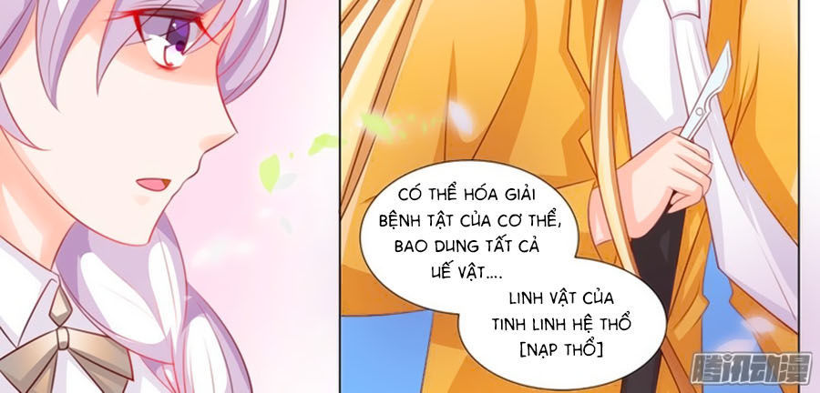 Chước Chước Lưu Ly Hạ Chap 92 - Next Chap 93