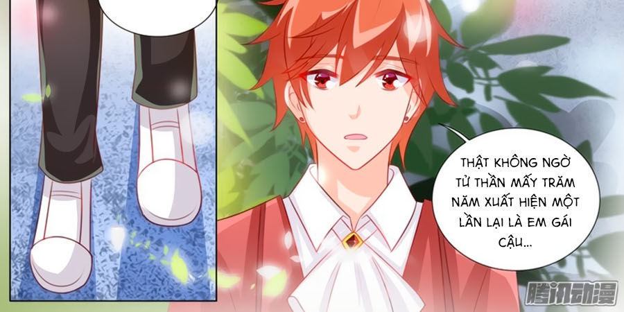 Chước Chước Lưu Ly Hạ Chap 93 - Next Chap 94