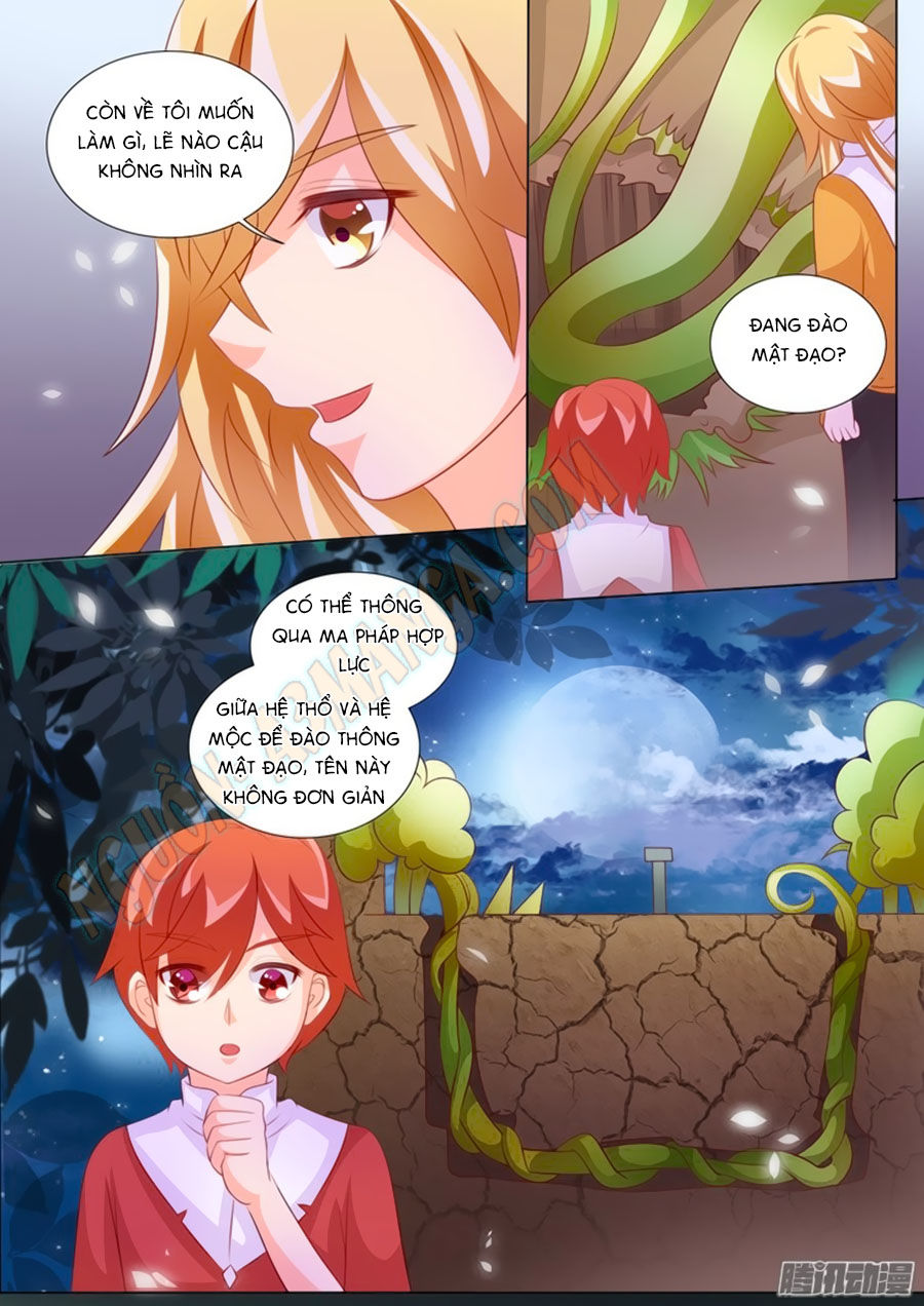 Chước Chước Lưu Ly Hạ Chap 94 - Next Chap 95