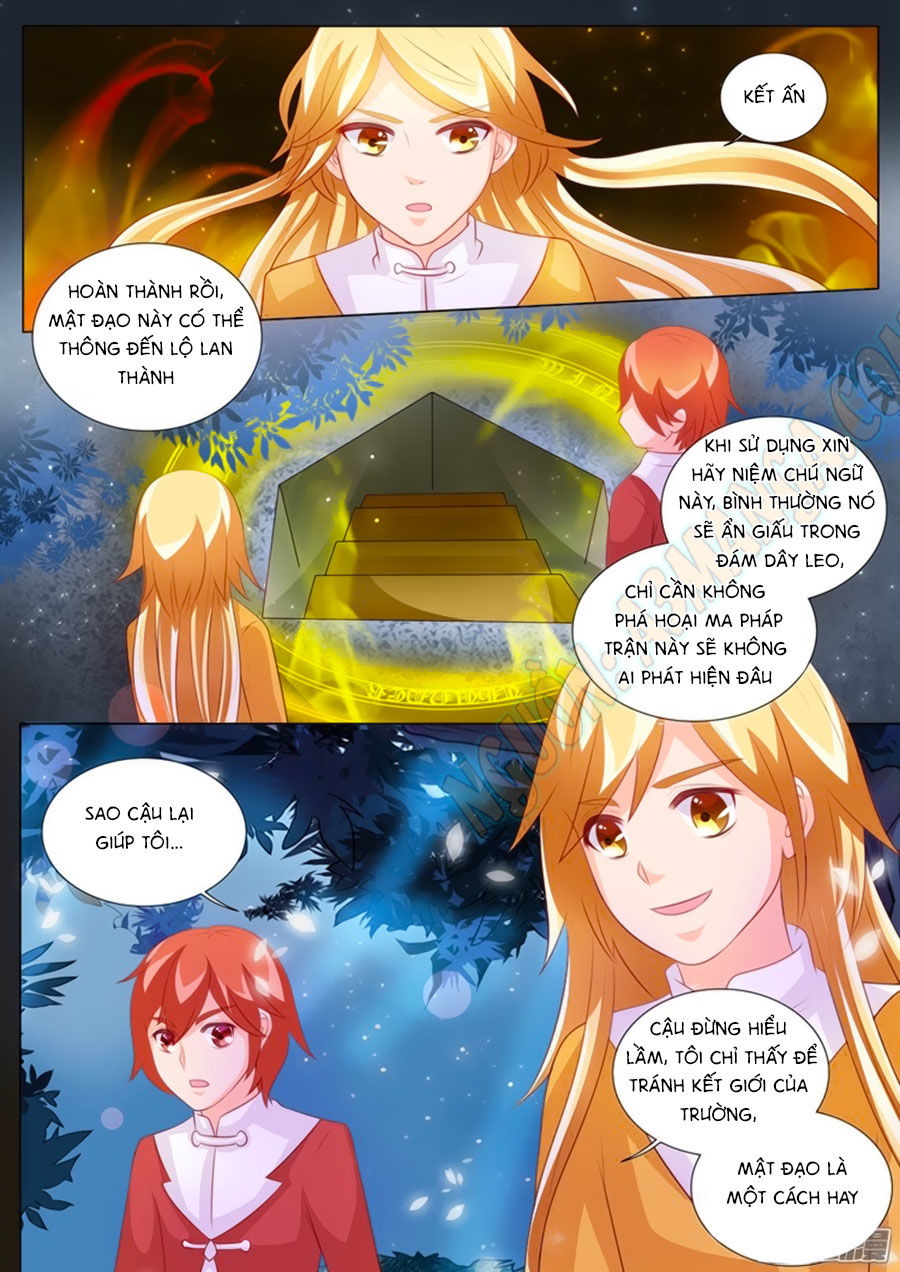 Chước Chước Lưu Ly Hạ Chap 94 - Next Chap 95