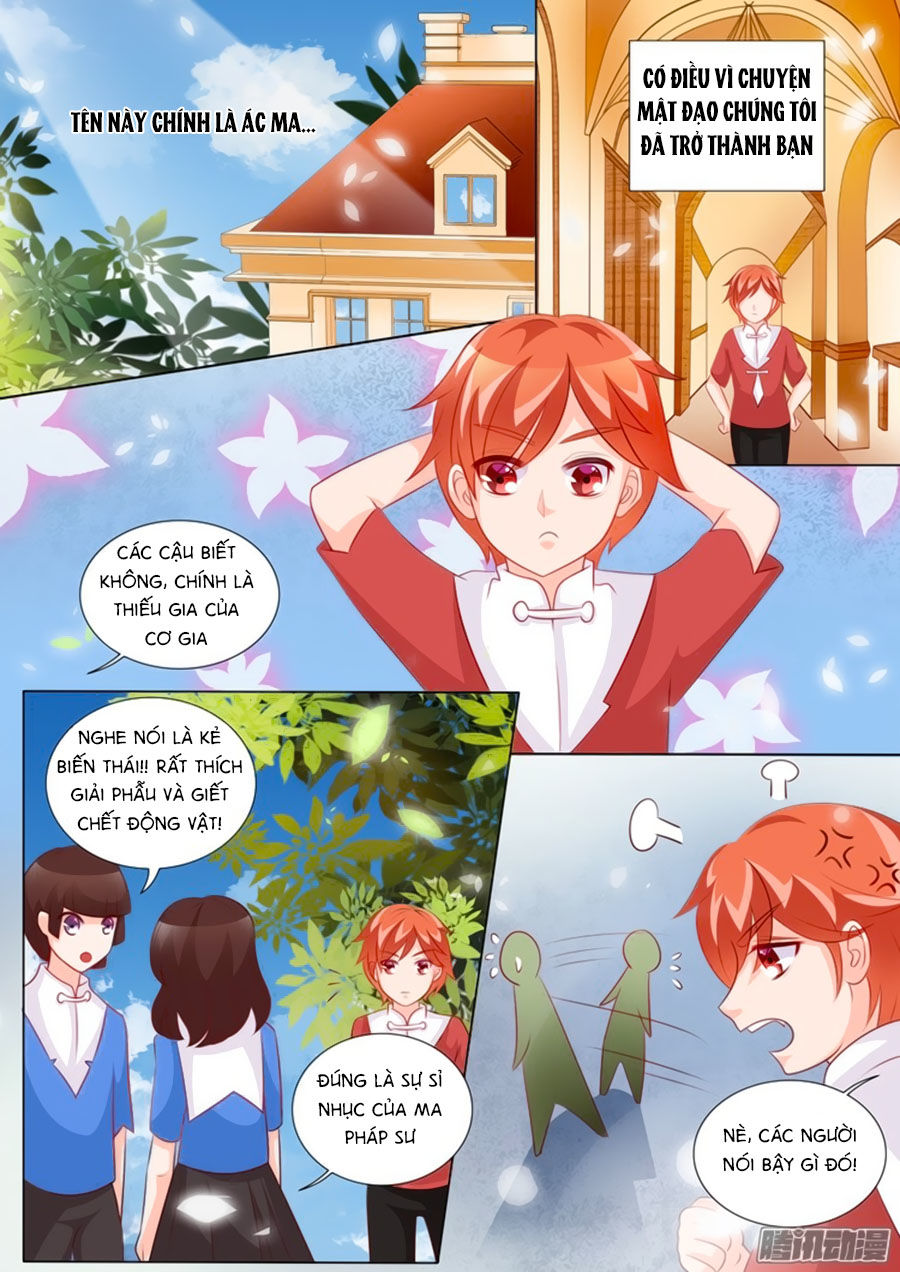 Chước Chước Lưu Ly Hạ Chap 94 - Next Chap 95