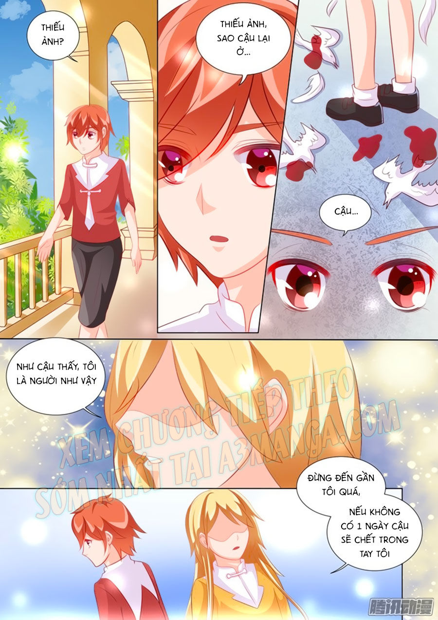 Chước Chước Lưu Ly Hạ Chap 94 - Next Chap 95