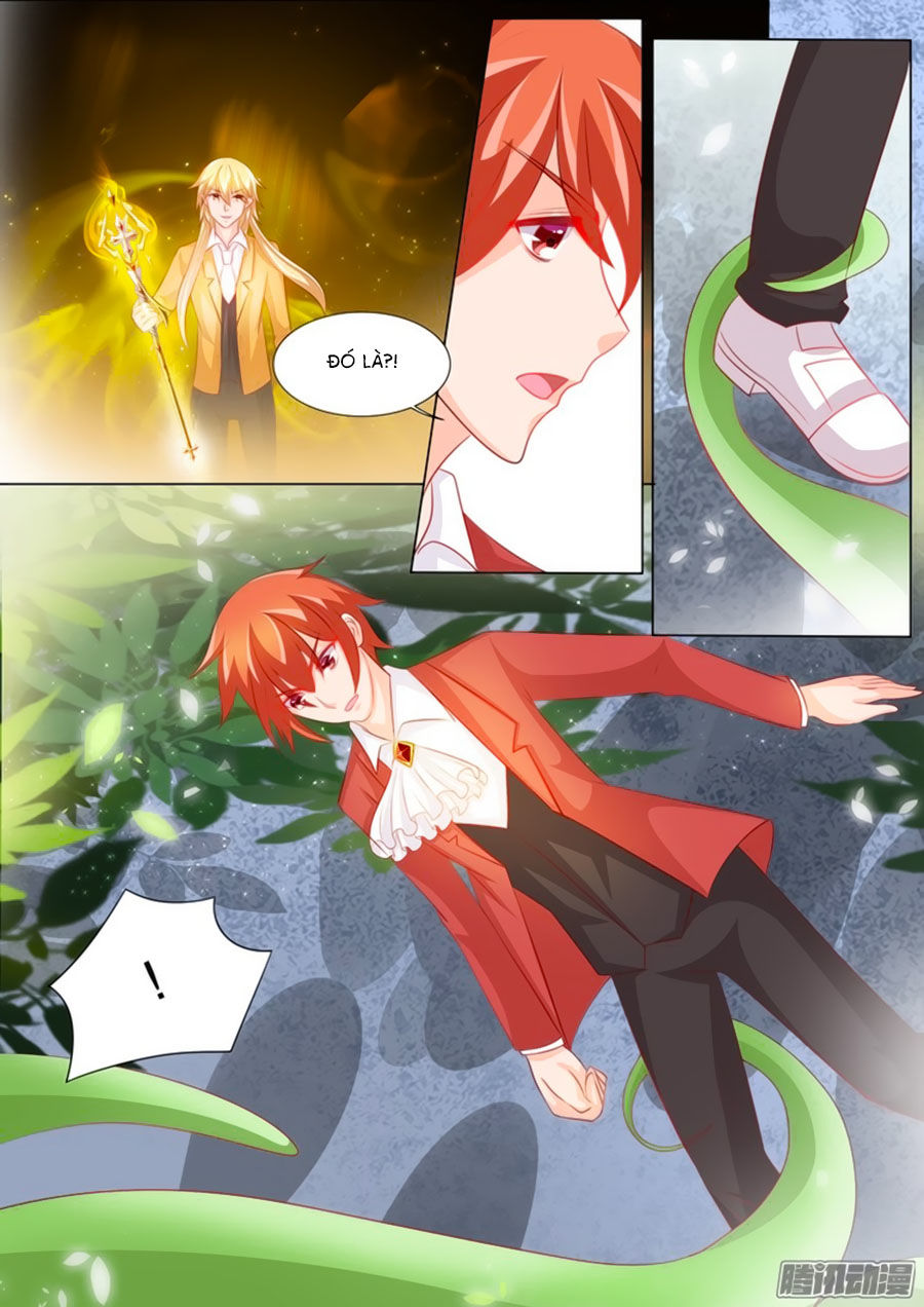 Chước Chước Lưu Ly Hạ Chap 96 - Next Chap 97