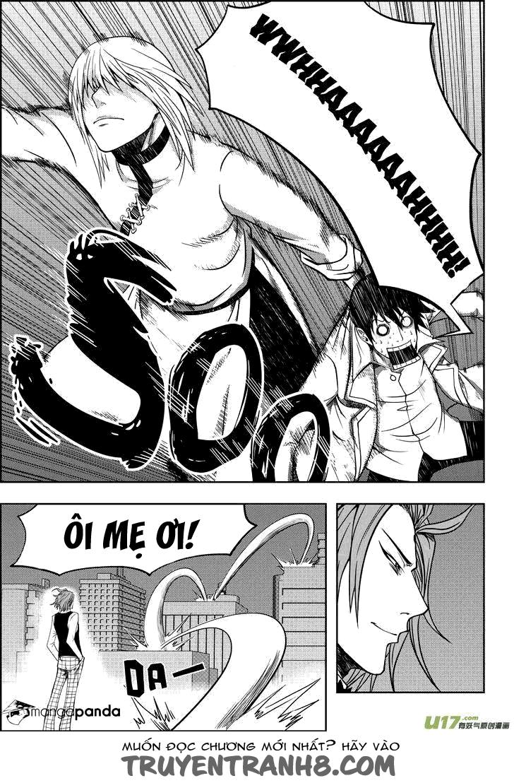 Macrophage Regulation Chap 6 - Next Chap 7