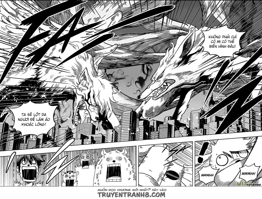 Macrophage Regulation Chap 7 - Next Chap 8