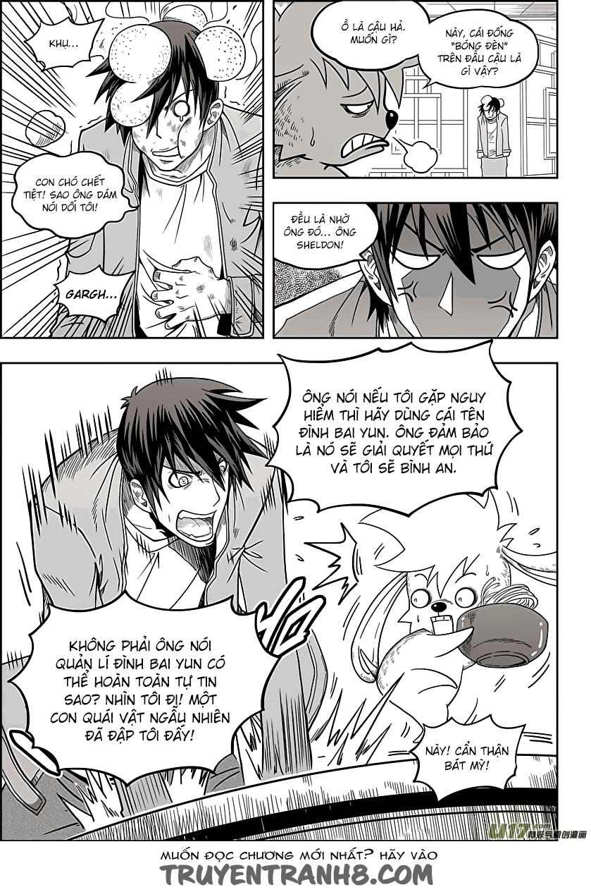 Macrophage Regulation Chap 8 - Next Chap 9