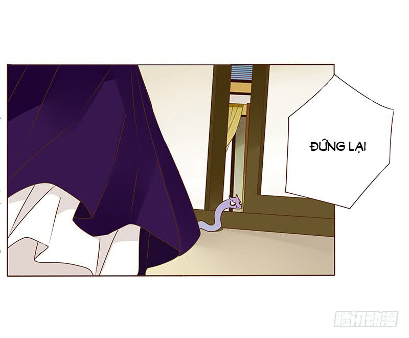 Đế Vương Trắc Chap 118.5 - Next Chap 119