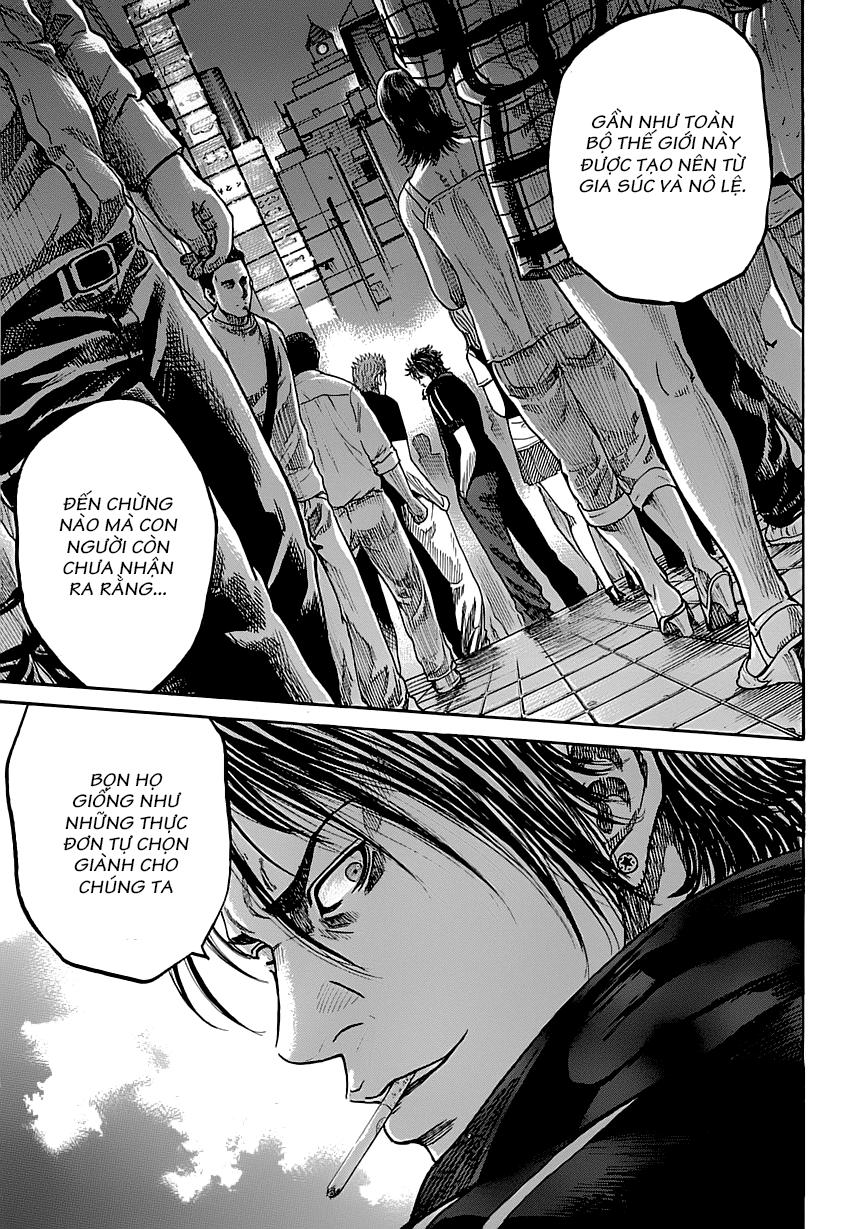 Shimauma Chap 1 - Next Chap 2