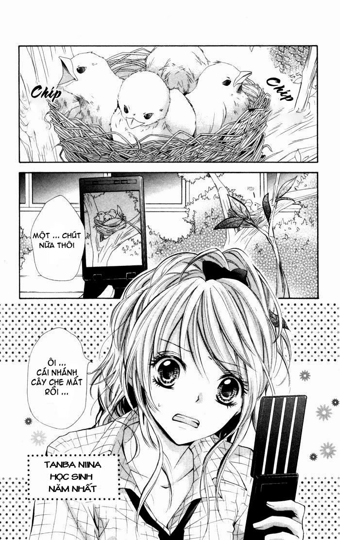Air Koi Chap 1 - Next Chap 2