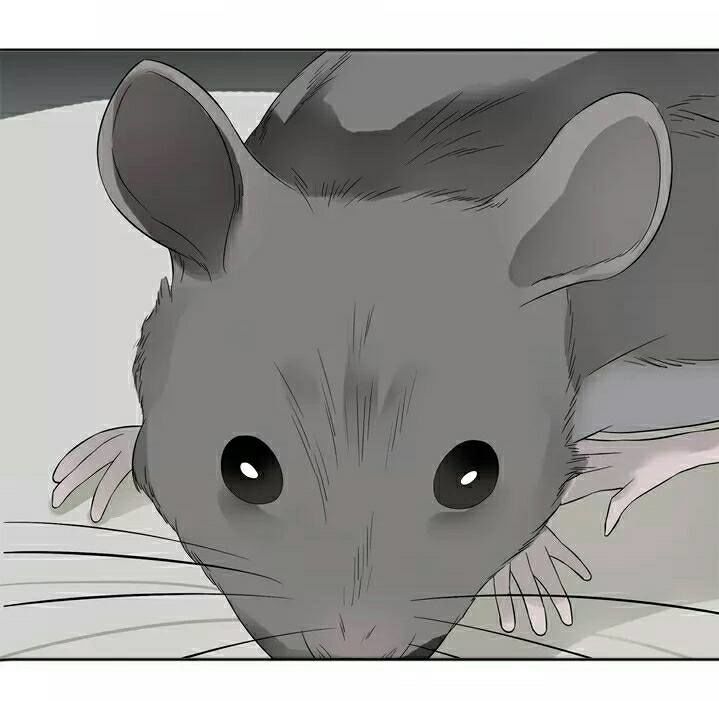 Thiên Hạ Vô Lại Chap 22 - Next Chap 23