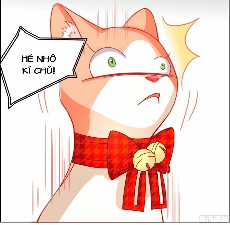 Chủ Nhân Là Ảnh Đế Chap 1.5 - Next Chap 2