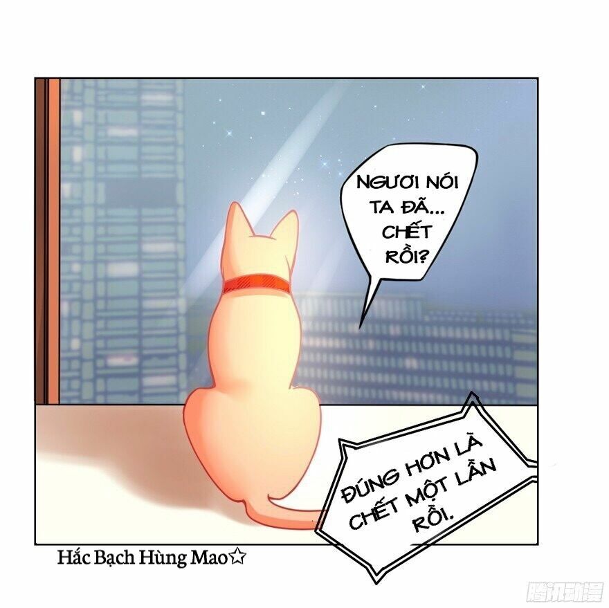 Chủ Nhân Là Ảnh Đế Chap 1.5 - Next Chap 2