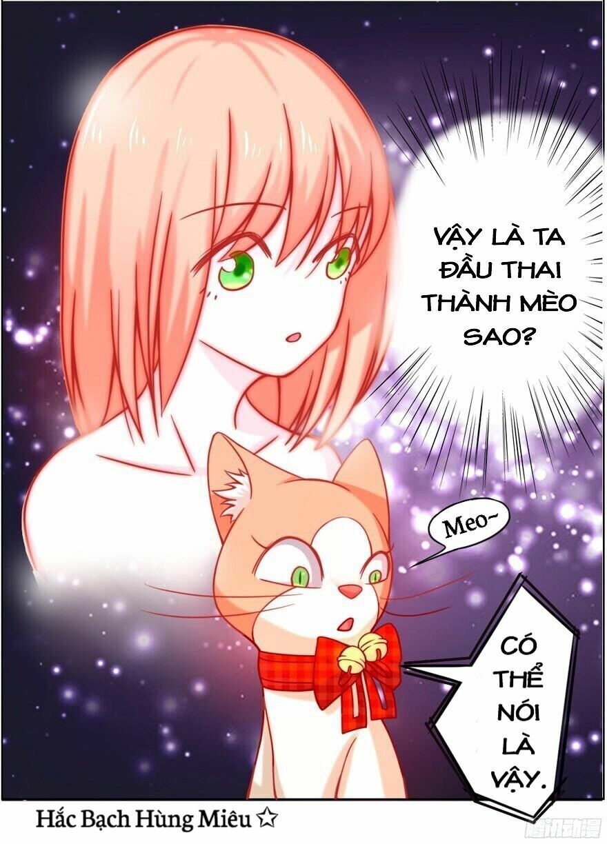Chủ Nhân Là Ảnh Đế Chap 1.5 - Next Chap 2