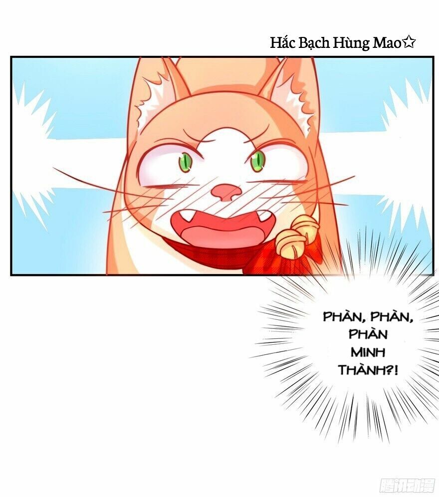 Chủ Nhân Là Ảnh Đế Chap 1.5 - Next Chap 2