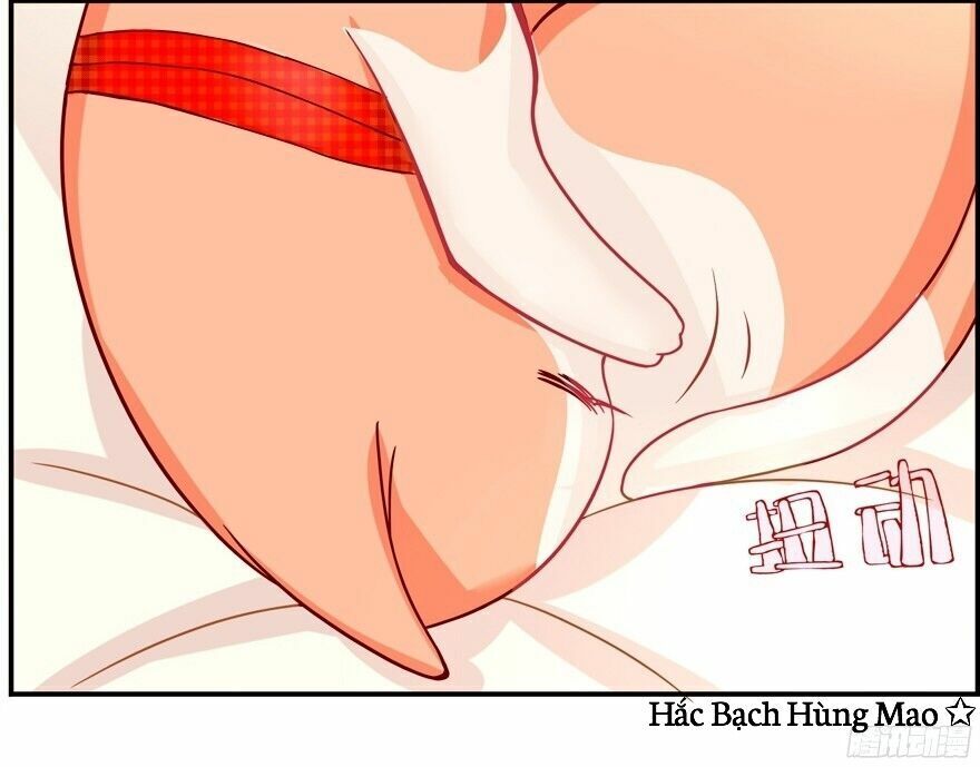 Chủ Nhân Là Ảnh Đế Chap 1.5 - Next Chap 2