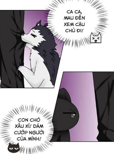 Tổng Tài Ma Cà Rồng Tha Cho Tôi Chap 34 - Next Chap 35
