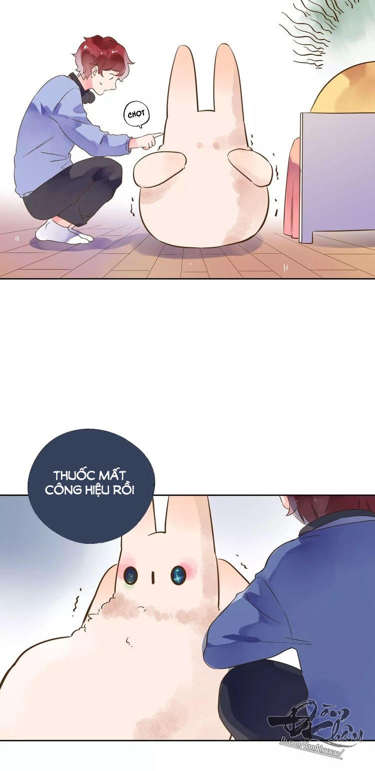 Dolo Mệnh Vận Giao Nang Chap 12 - Next Chap 13