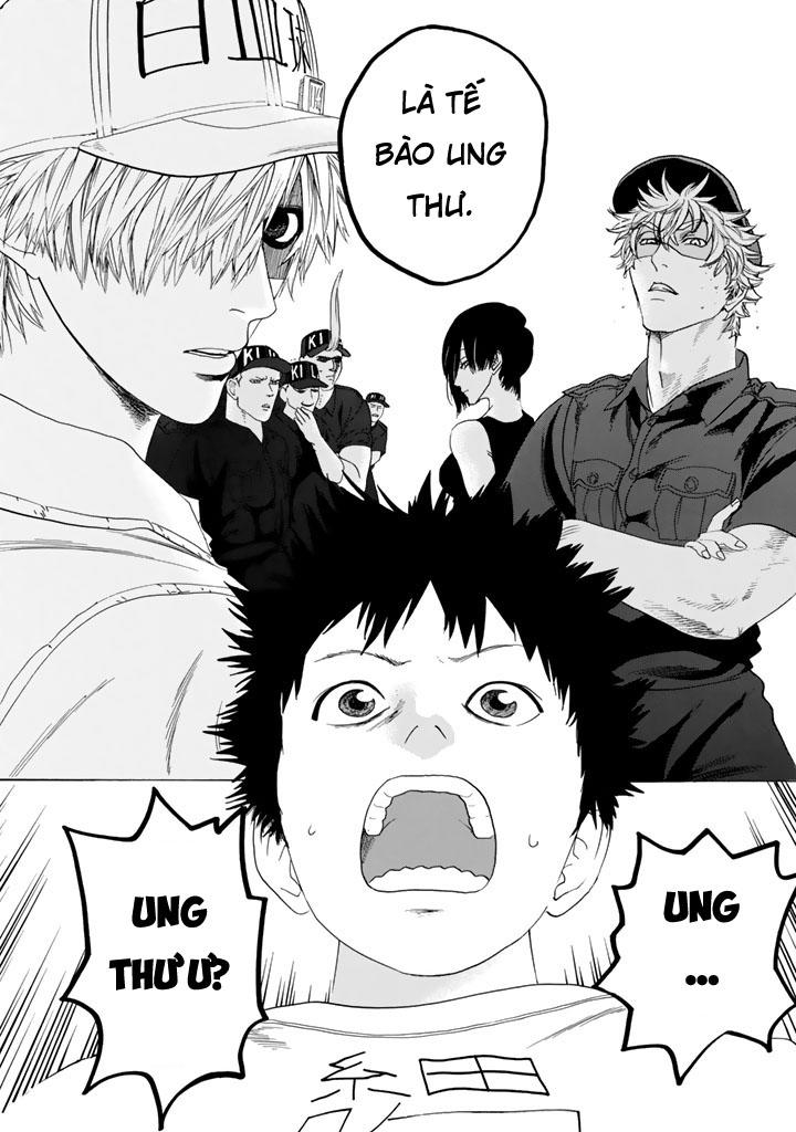 Hataraku Saibou! Chap 23 - Next Chap 24