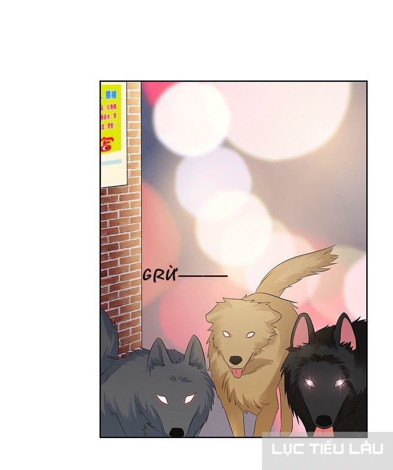 Băng Sơn Học Trưởng Không Được Chọc Chap 13 - Next Chap 14