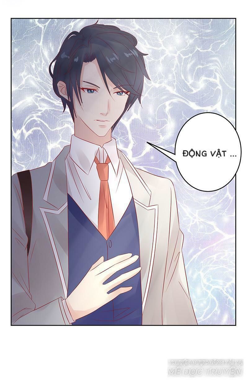 Băng Sơn Học Trưởng Không Được Chọc Chap 13 - Next Chap 14