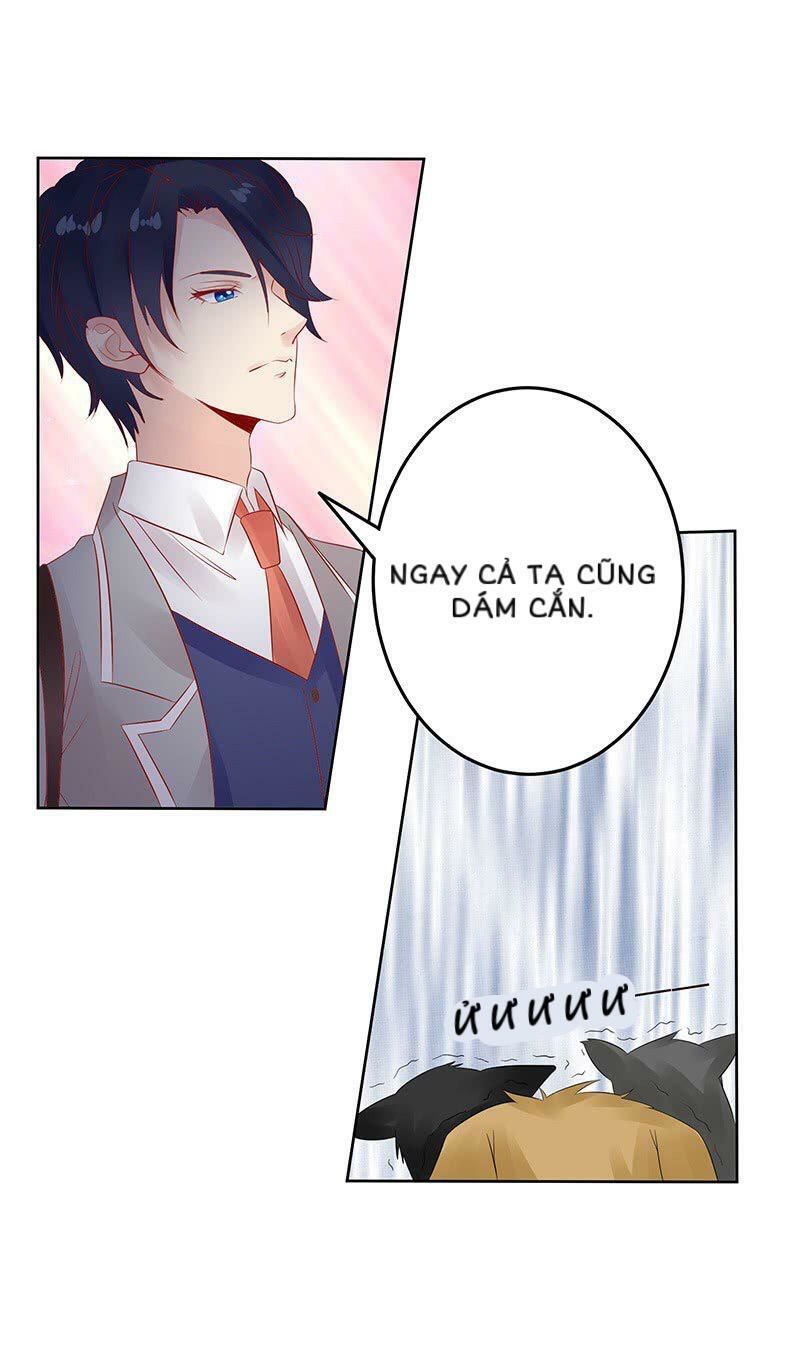 Băng Sơn Học Trưởng Không Được Chọc Chap 13 - Next Chap 14