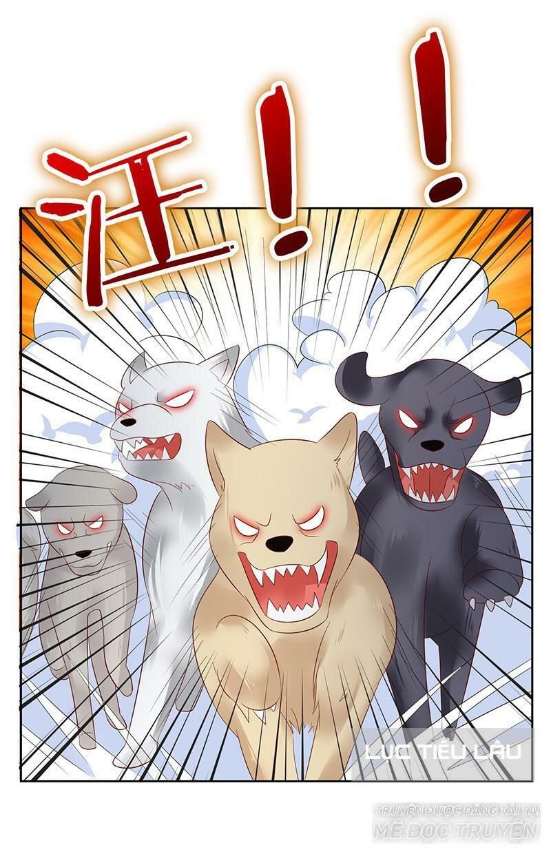 Băng Sơn Học Trưởng Không Được Chọc Chap 13 - Next Chap 14