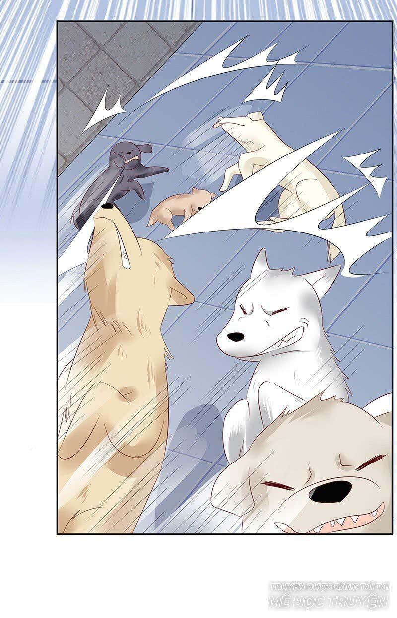 Băng Sơn Học Trưởng Không Được Chọc Chap 13 - Next Chap 14