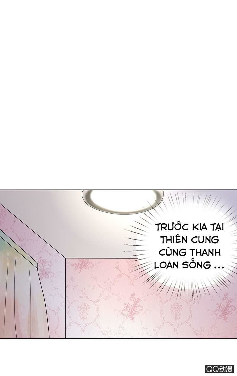 Băng Sơn Học Trưởng Không Được Chọc Chap 30.2 - Next Chap 31