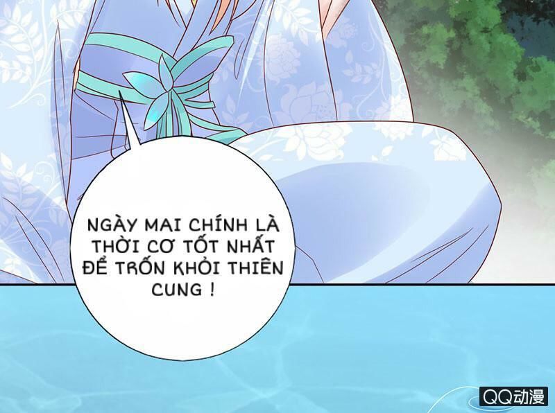 Băng Sơn Học Trưởng Không Được Chọc Chap 31.2 - Next Chap 32