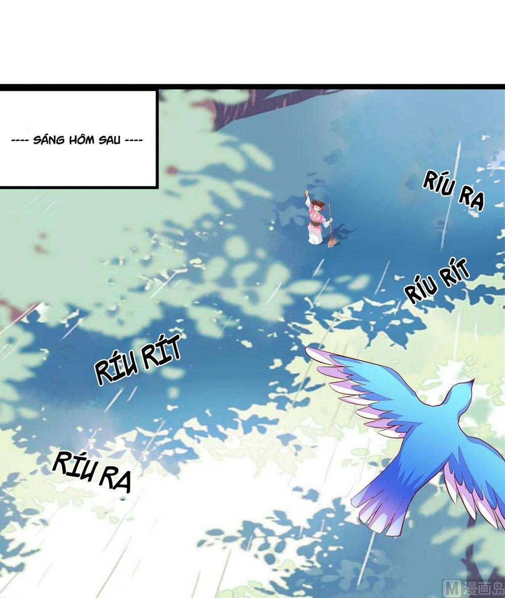 Khuynh Thế Thần Thâu Của Ngự Quân Ký Chap 4 - Next Chap 5