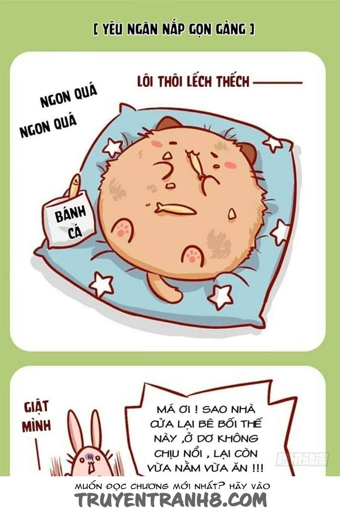 Mèo Béo Và Thỏ Giấy Chap 4 - Next Chap 5