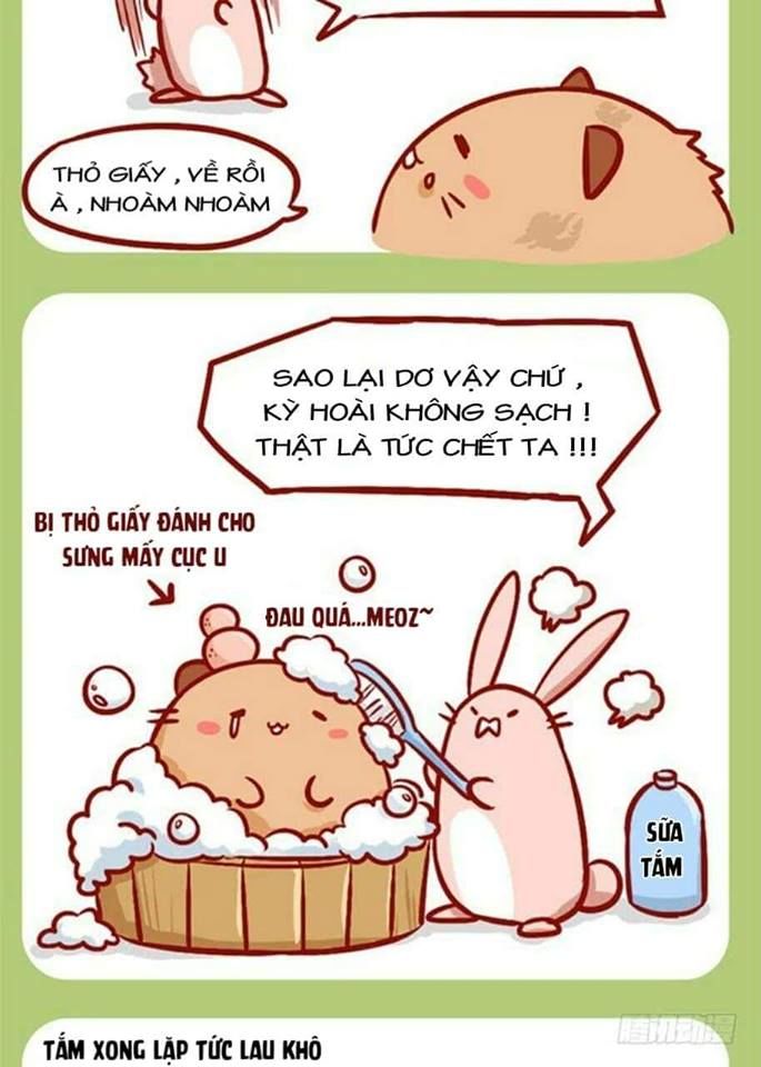 Mèo Béo Và Thỏ Giấy Chap 4 - Next Chap 5
