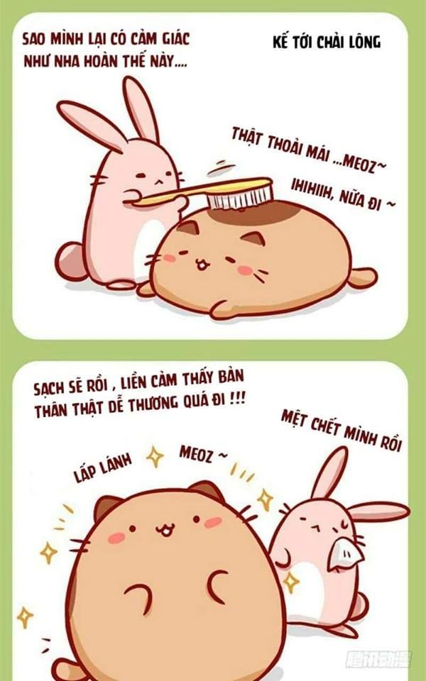 Mèo Béo Và Thỏ Giấy Chap 4 - Next Chap 5