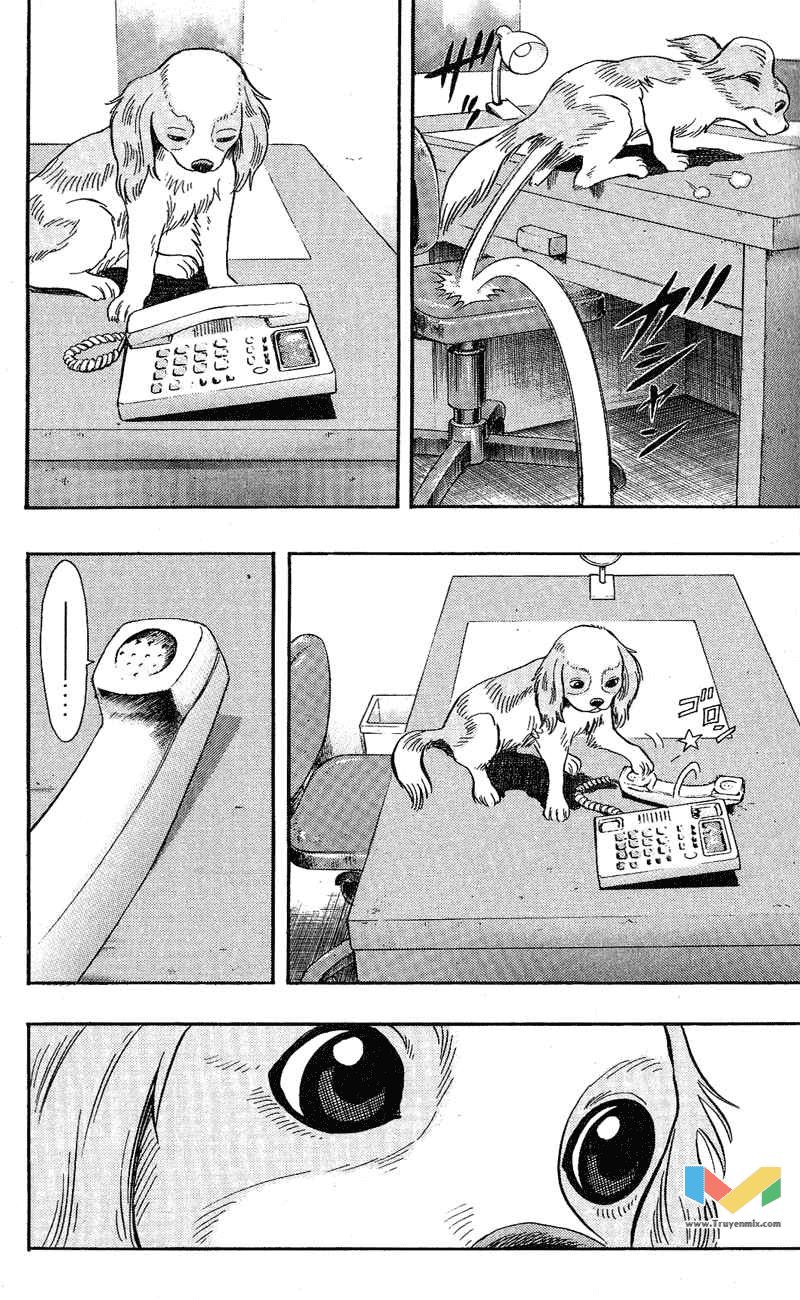 Animal Sense Chap 7 - Next Chap 8
