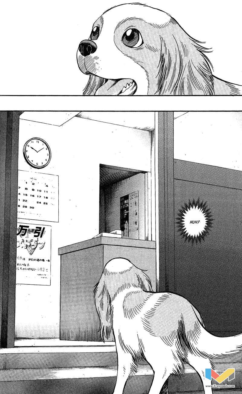 Animal Sense Chap 7 - Next Chap 8