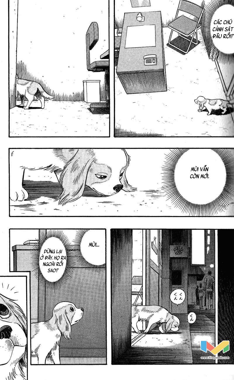 Animal Sense Chap 7 - Next Chap 8