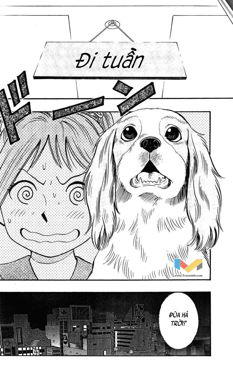 Animal Sense Chap 7 - Next Chap 8
