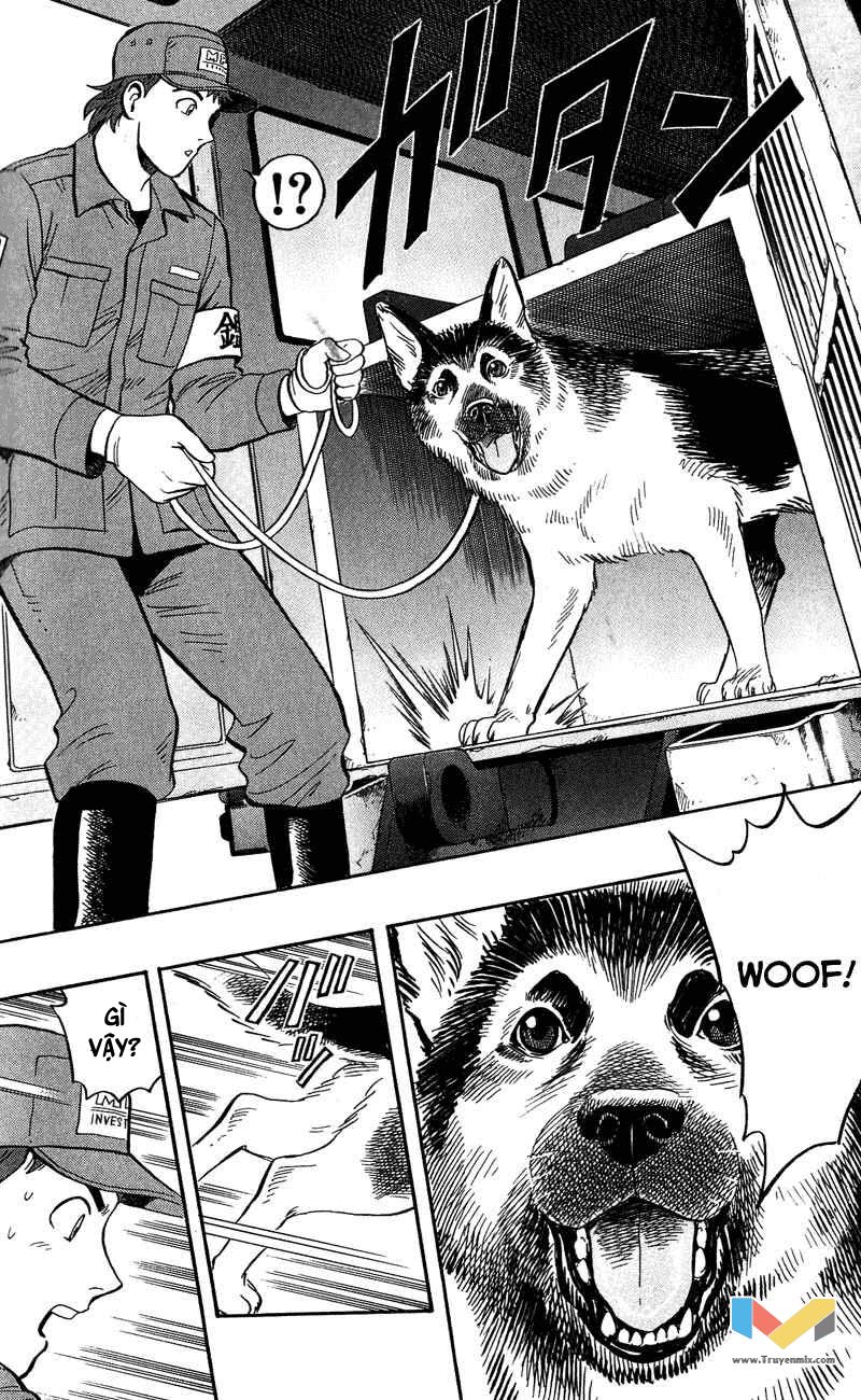 Animal Sense Chap 8 - Next Chap 9